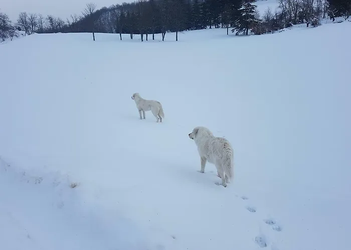 Bauernhof Agriturismo Piccola Raieda