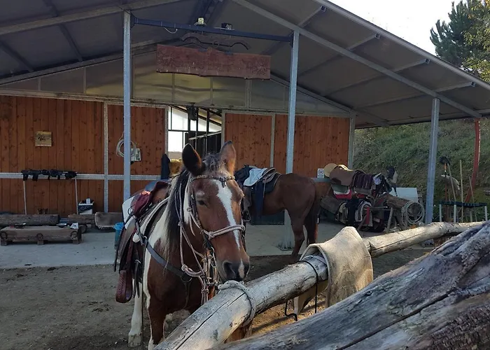 Agriturismo Piccola Raieda *