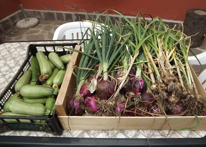 Agriturismo Piccola Raieda