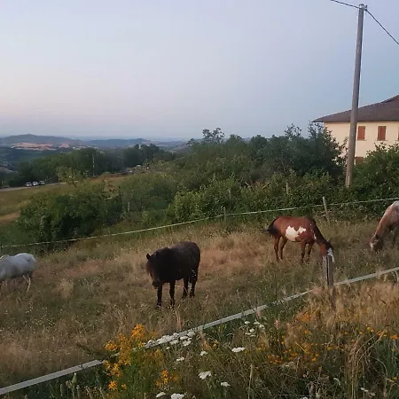 Agriturismo Piccola Raieda * Sasso Marconi