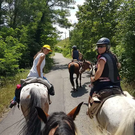 Agriturismo Piccola Raieda Farma Sasso Marconi