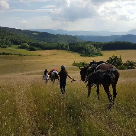 Agriturismo Piccola Raieda