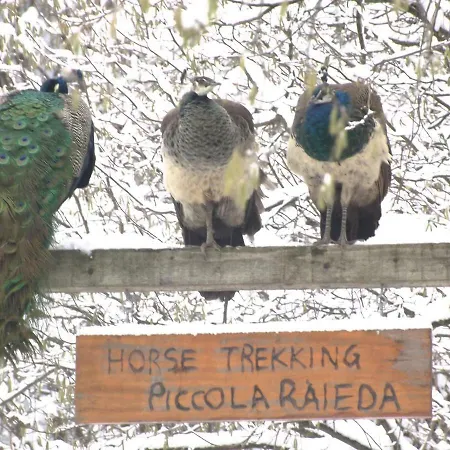 Agriturismo Piccola Raieda Gospodarstwo agroturystyczne *