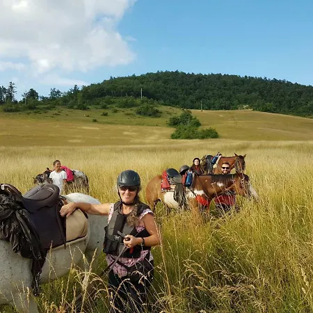 Agriturismo Piccola Raieda Farma *