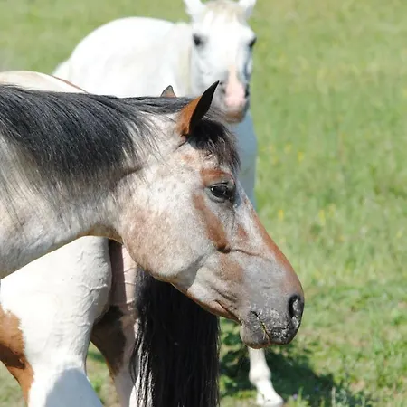 Agriturismo Piccola Raieda * Sasso Marconi