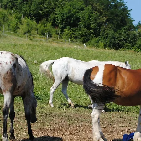 Agriturismo Piccola Raieda Gospodarstwo agroturystyczne *