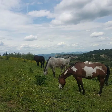 Agriturismo Piccola Raieda * Sasso Marconi