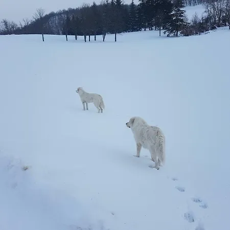 Farma Agriturismo Piccola Raieda