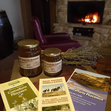 Gospodarstwo agroturystyczne Agriturismo Piccola Raieda