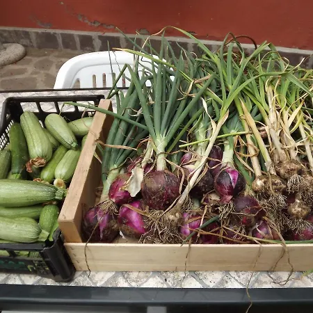 Agriturismo Piccola Raieda