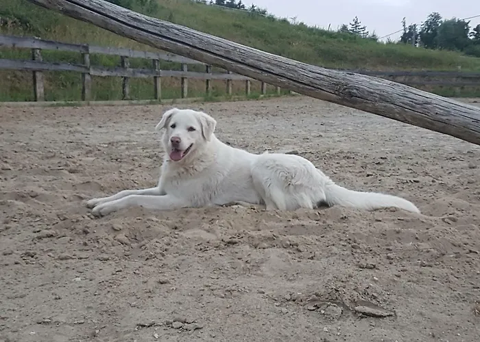 Agriturismo Piccola Raieda Agroturismo *