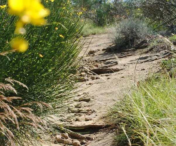 Agriturismo Piccola Raieda