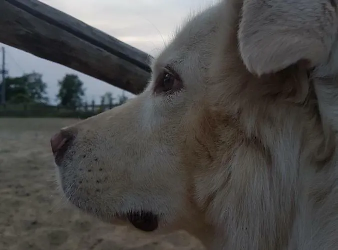 Agriturismo Piccola Raieda