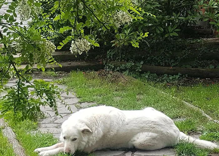 Agriturismo Piccola Raieda