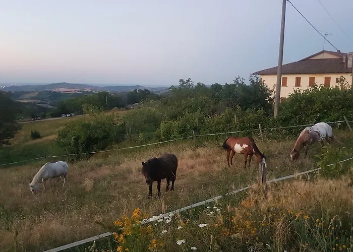 Agriturismo Piccola Raieda * Sasso Marconi