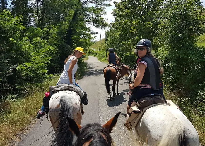 Agriturismo Piccola Raieda Agroturismo Sasso Marconi