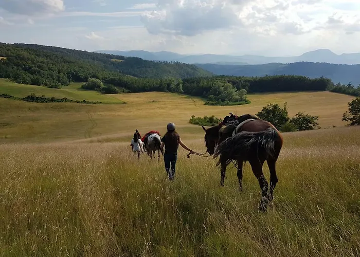 Agriturismo Piccola Raieda