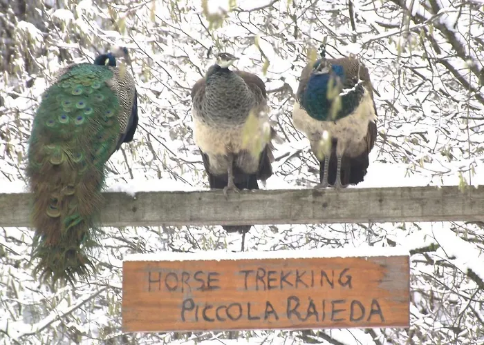 Agriturismo Piccola Raieda Lantgård *