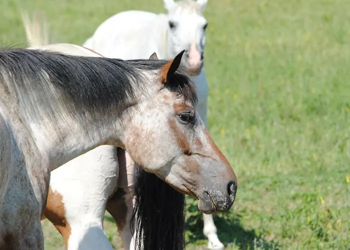 Agriturismo Piccola Raieda * Sasso Marconi