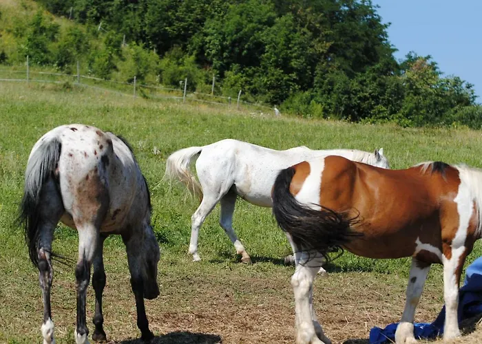 Agriturismo Piccola Raieda Lantgård *