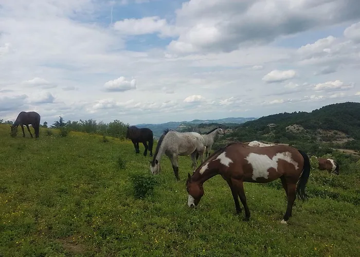 Agriturismo Piccola Raieda * Sasso Marconi