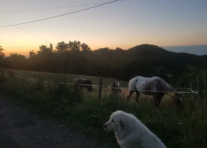 Lantgård Agriturismo Piccola Raieda *