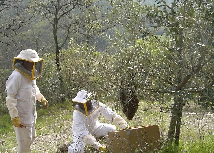 Agriturismo Piccola Raieda *