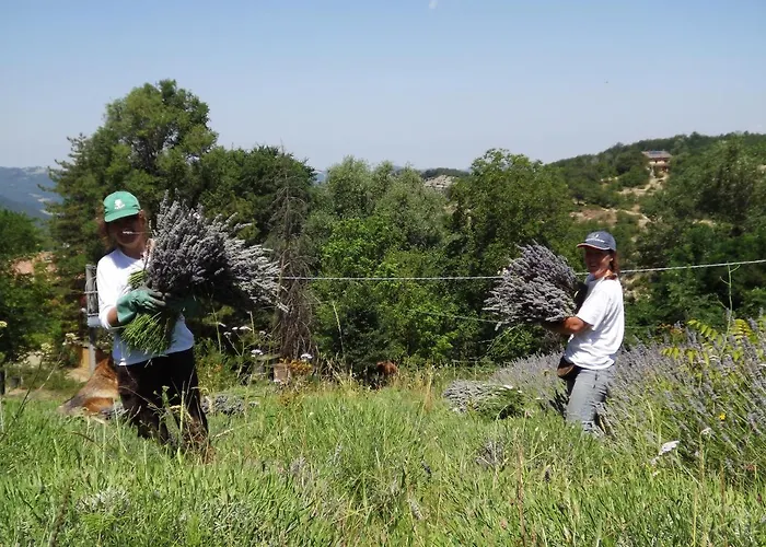 Agroturismo Agriturismo Piccola Raieda